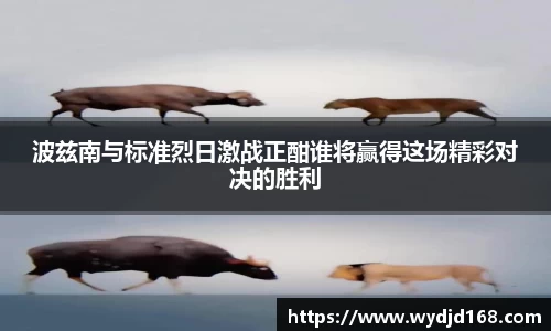 威廉希尔中文官网